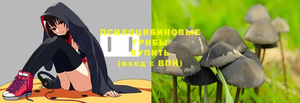 мдпв Володарск