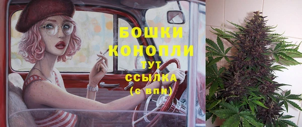 мдпв Володарск