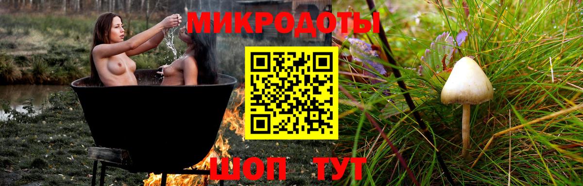 Псилоцибиновые грибы Magic Shrooms  Вход с VPN  Ноябрьск  Псилоцибиновые грибы мицелий 