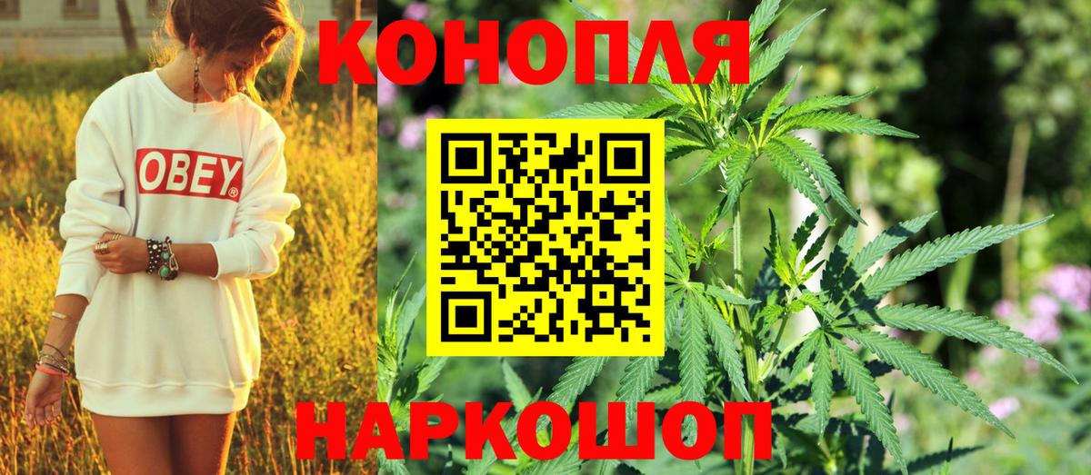 Бошки Шишки семена Ноябрьск